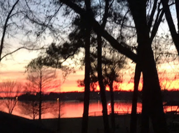 Meet your Posher, Edith - Picture 1 of 1